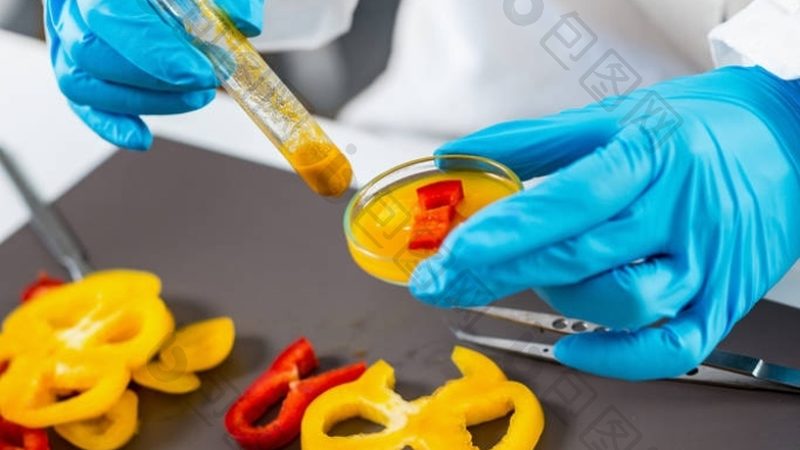 米面制品品牌排名背后的秘密：揭秘品质与口碑的交织